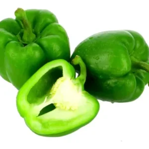 Capsicum