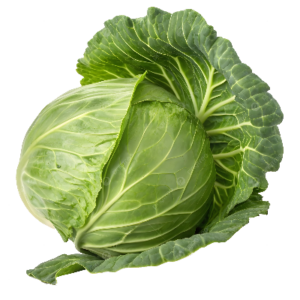 cabbage